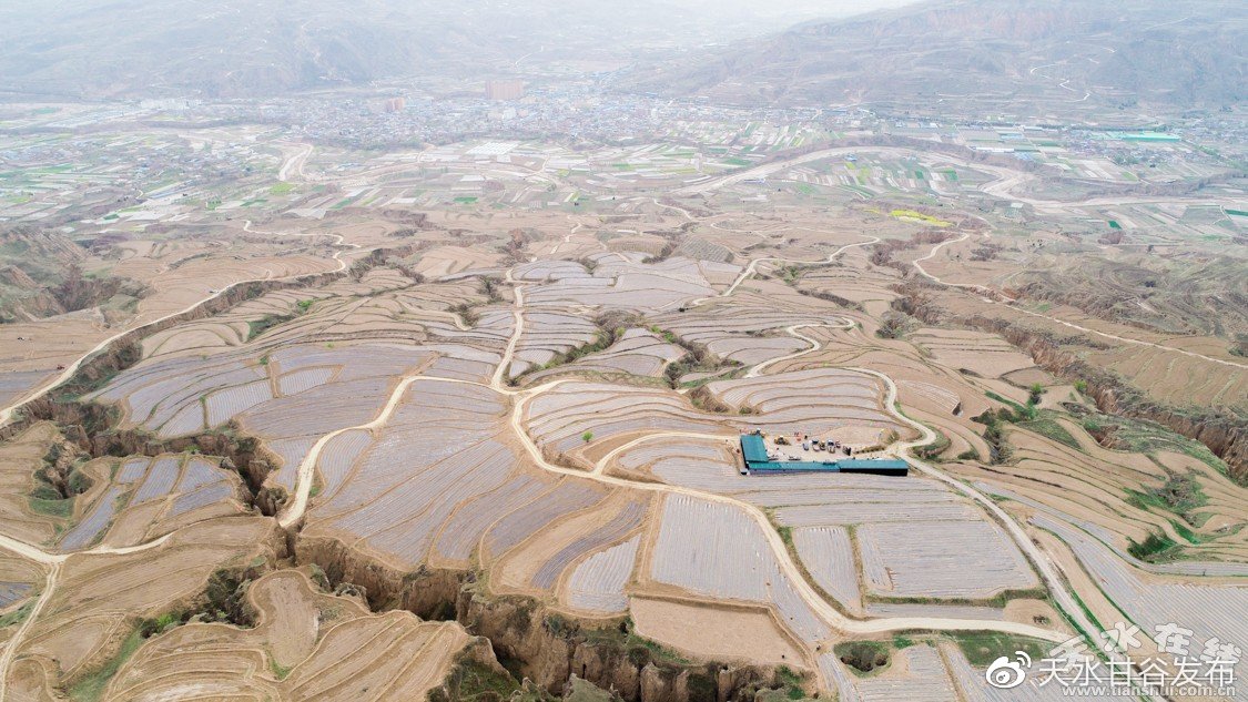 dy赞自助下单网站免费：DY刷量服务免费领取渠道曝光_涨粉丝最快的平台