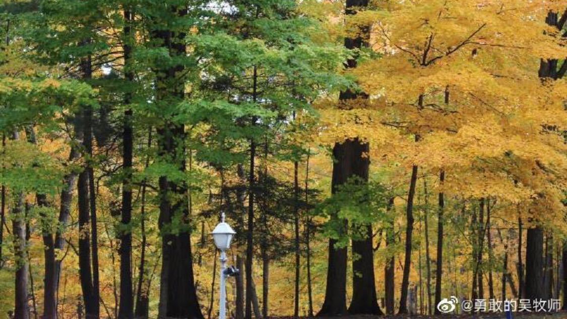 斗因点赞24小时